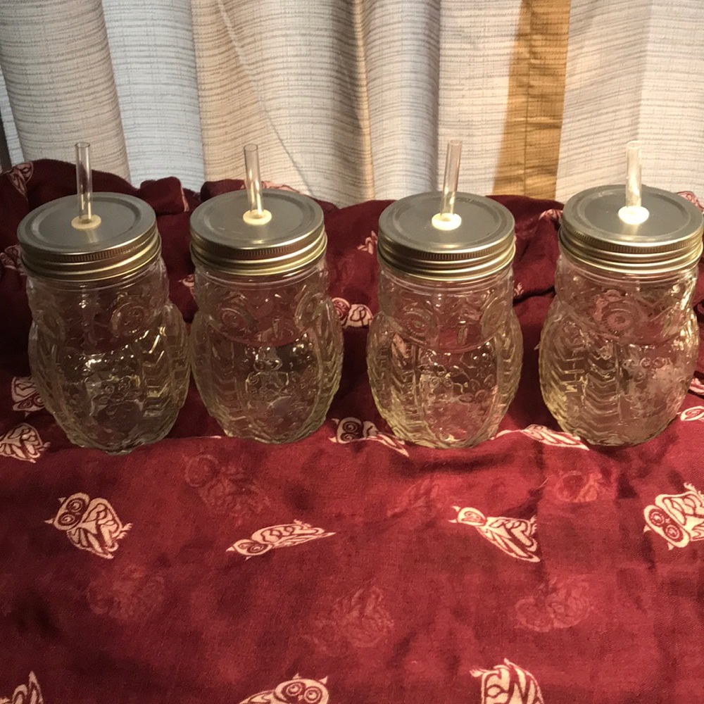 Owl drinking glasses